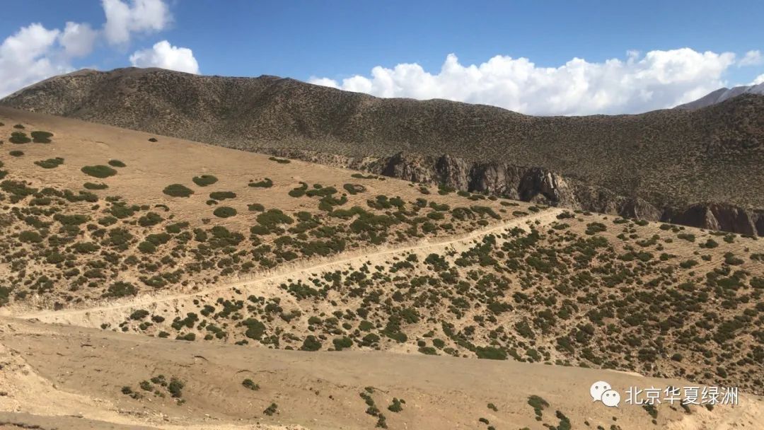 7个方面,解决矿山生态修复热点问题!的图11